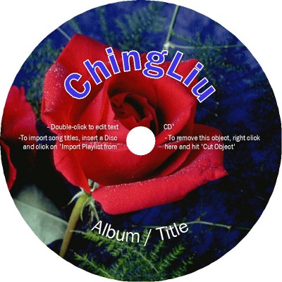 SureThing Disk Labeler Deluxe Gold 6.1.65 (Reg iND) [ChingLiu]