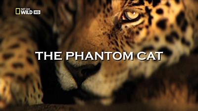 The Phantom Cat (2012) HDTV