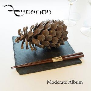 D Creation - Moderate Album (2014)