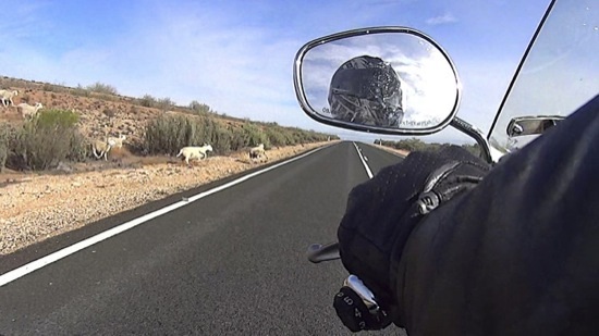 В зеркале мотоцикла (фото)