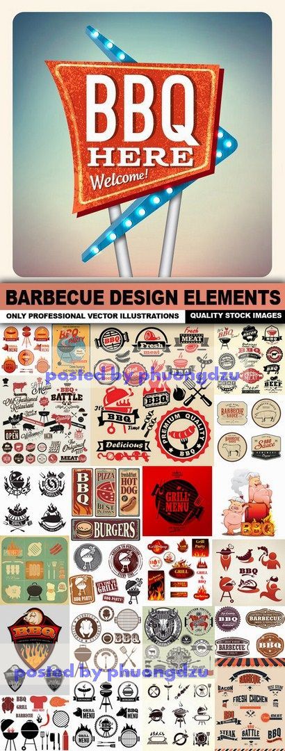 Barbecue Design Elements Vector  3