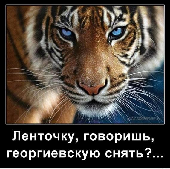 http://i62.fastpic.ru/big/2014/0606/3e/272c75ee90288cca6b55826768a12d3e.jpg