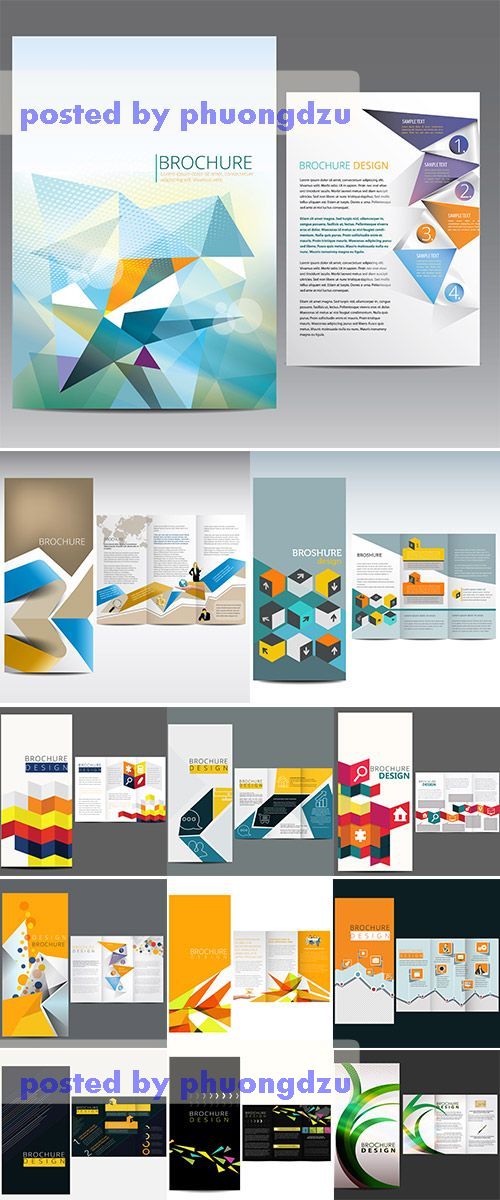 Stock: Business template Brochure vector 5