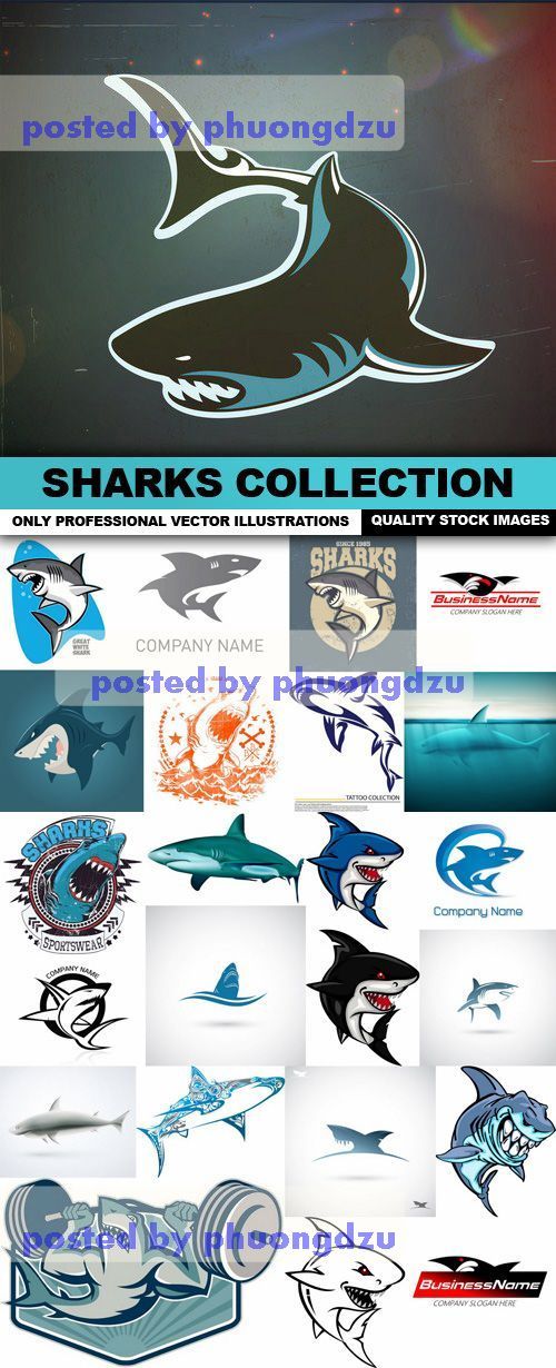 Sharks Vector Collection part 1