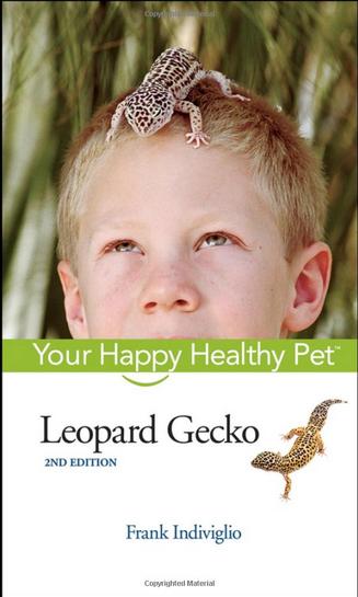 Leopard Gecko: Your Happy Healthy Pet