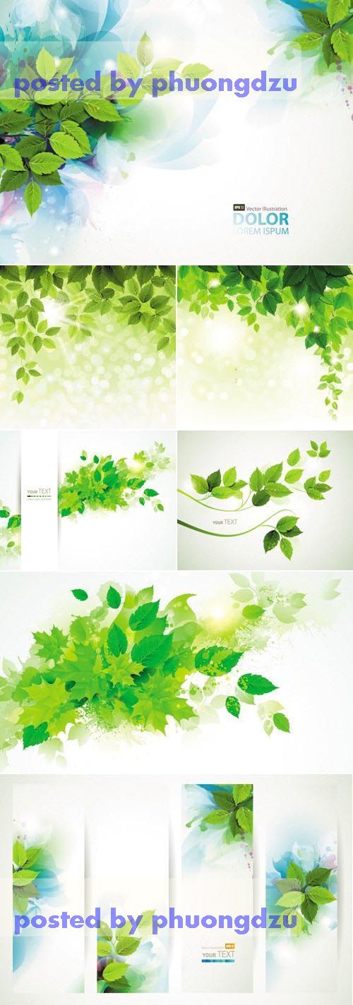 Green Leaves Backgrounds Vector 1