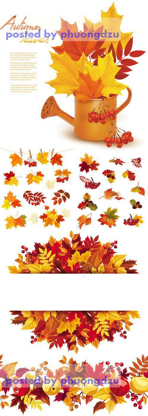 Autumn Leaves Vector Collection 2