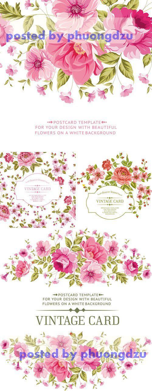 Pink Flowers Cards Vector 1