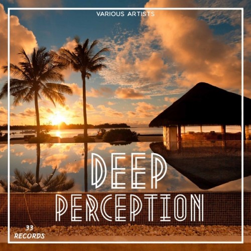 VA - Deep Perception (2016)