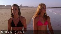 Пляжная вечеринка / National Lampoon Presents: Surf Party (2013) BDRip 720p