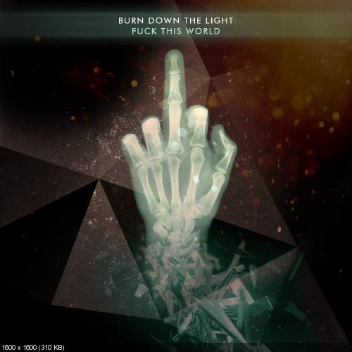 Burn Down The Light - Fuck This World [Single] (2014)