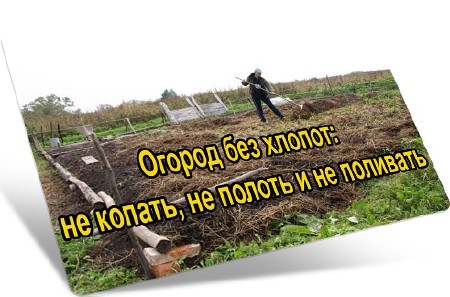 Огород без хлопот: не копать, не полоть и не поливать (2014) WebRip